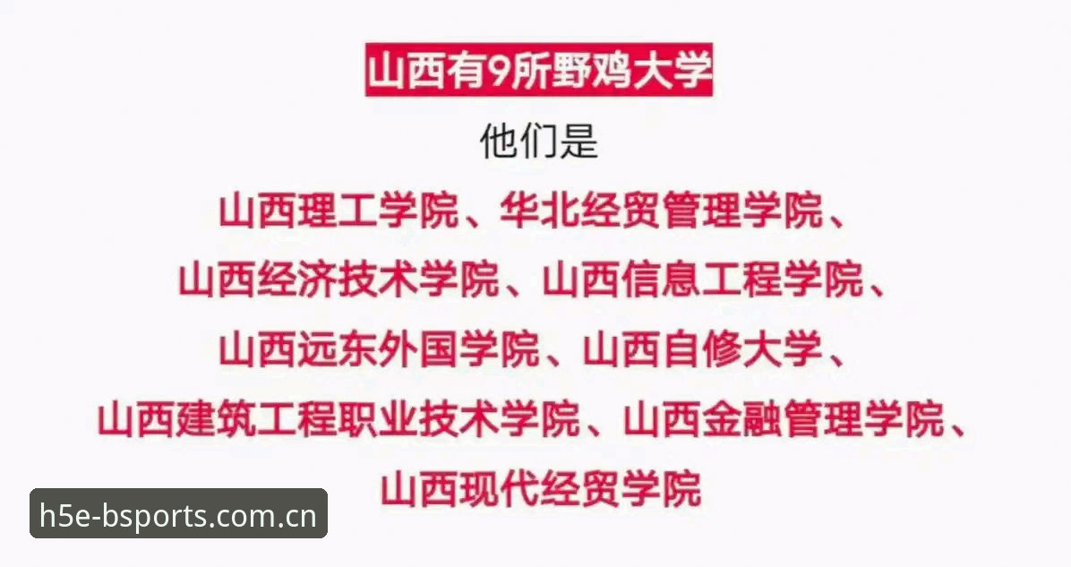 B体育官网入口攻略：2024新版安装与使用教程